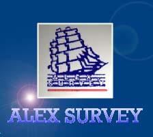 Alex Survey logo